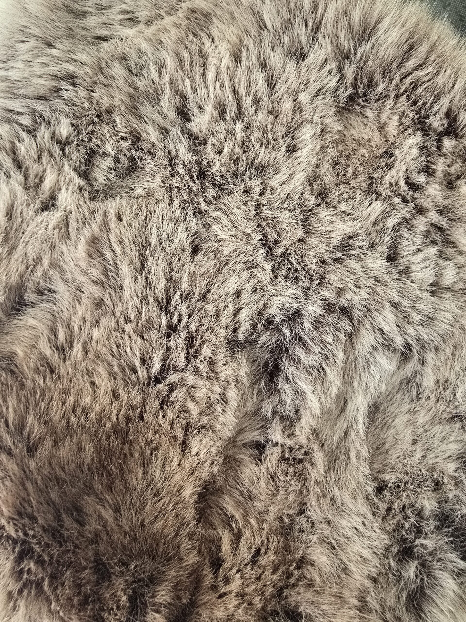 Elk Hibernation Fur - Coco - Image 3